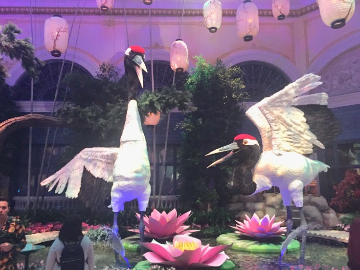 3B6F9D70-CB9D-44DC-8AFA-3F362E4CB0A3